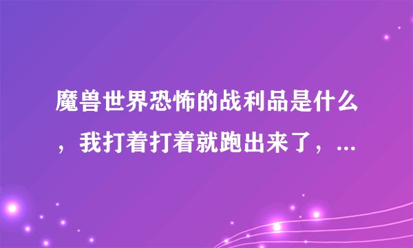 魔兽世界恐怖的战利品是什么，我打着打着就跑出来了，有什么用呢？