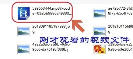 如何将视频下载到电脑上？