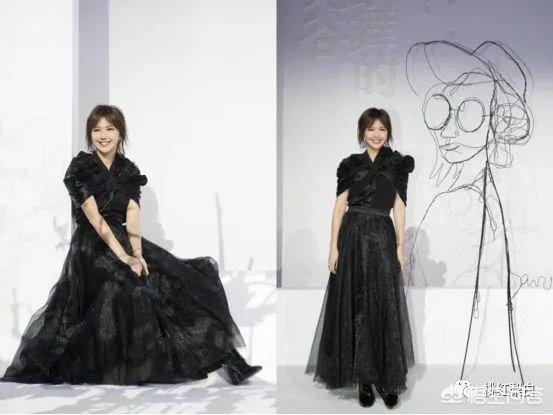 怎么看孙燕姿的新歌 《跳舞的梵谷》？