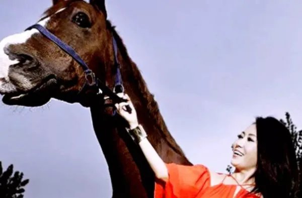 程琳风雨兼程歌曲点评