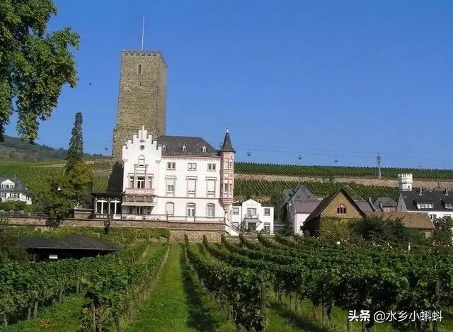 休闲农庄如何变身农业旅游景区？