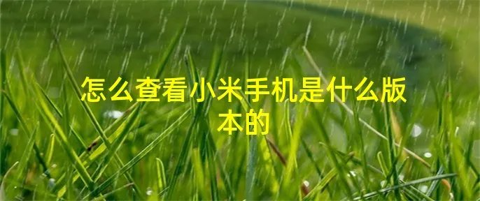 怎么查看小米手机是什么版本的
