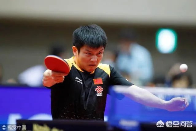樊振东虽然获得了亚洲杯冠军，但国内媒体说金牌成色不足，你怎么看？