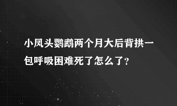 小凤头鹦鹉两个月大后背拱一包呼吸困难死了怎么了？