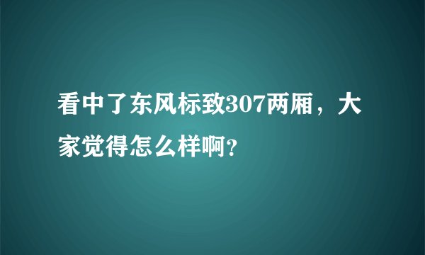 看中了东风标致307两厢，大家觉得怎么样啊？