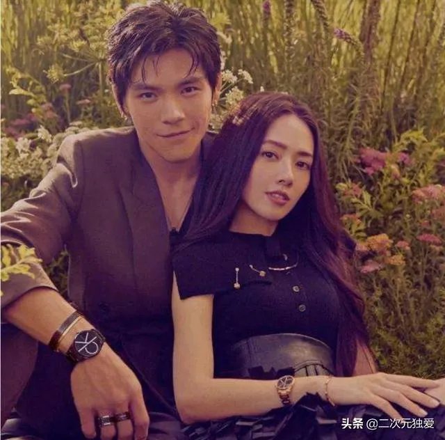 为什么有人说郭碧婷不喜欢向佐？