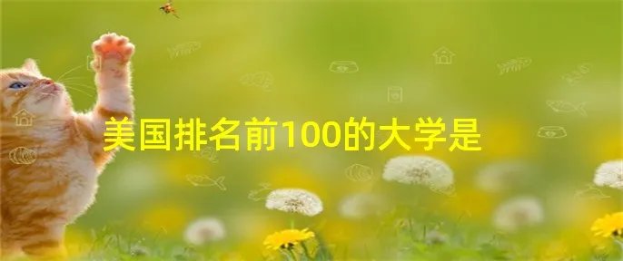 美国排名前100的大学是