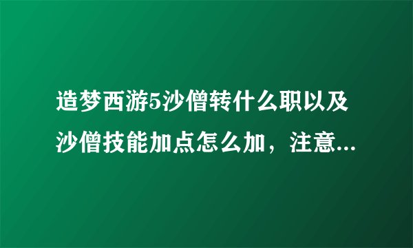 造梦西游5沙僧转什么职以及沙僧技能加点怎么加，注意是造梦5，不是造4更不是造3哟
