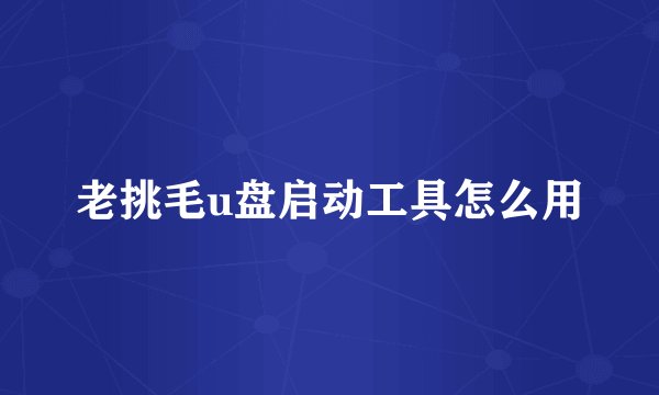老挑毛u盘启动工具怎么用