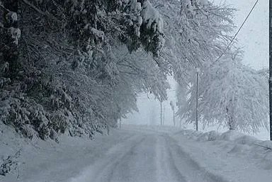 大雪过后为什么会觉得格外寂静