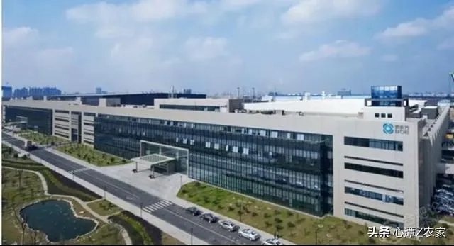 世界显示 “屏”什么看合肥？