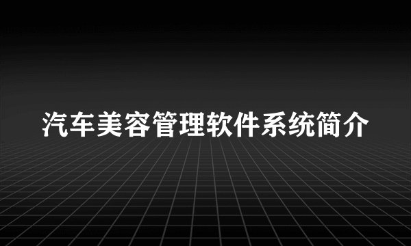 汽车美容管理软件系统简介