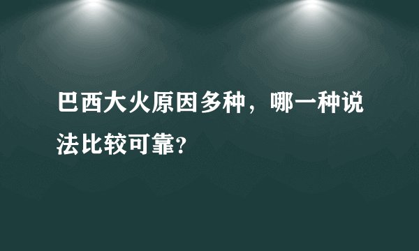 巴西大火原因多种，哪一种说法比较可靠？