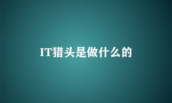 IT猎头是做什么的