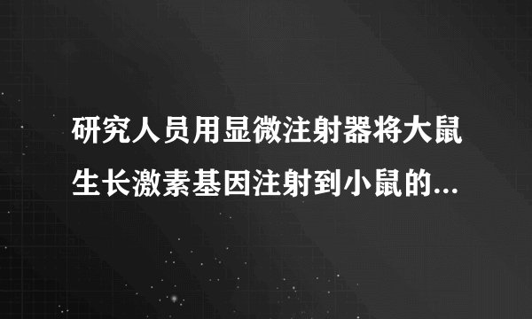 研究人员用显微注射器将大鼠生长激素基因注射到小鼠的受精卵中，再将受精卵注入母鼠的输卵管，培育出超级鼠.此项研究应用了（　　）A.克隆技术B.杂交技术C.干细胞技术D.转基因技术