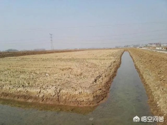 有人说现在全国各地都在扩养小龙虾，现在入市还来得及吗？