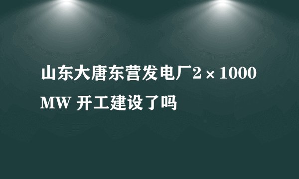 山东大唐东营发电厂2×1000MW 开工建设了吗