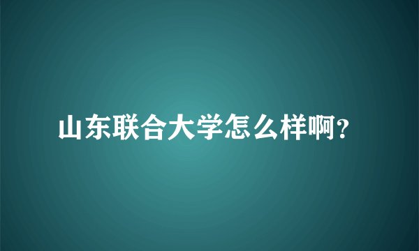 山东联合大学怎么样啊？