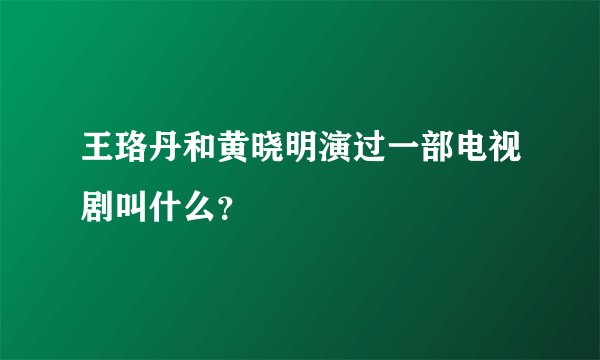 王珞丹和黄晓明演过一部电视剧叫什么？