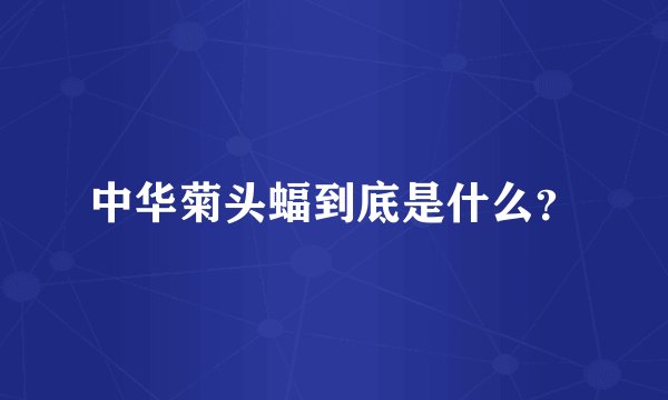 中华菊头蝠到底是什么？