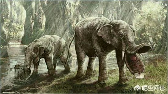 同在一个星球生存，史前动物的体型为什么都很巨大？例如：恐龙？