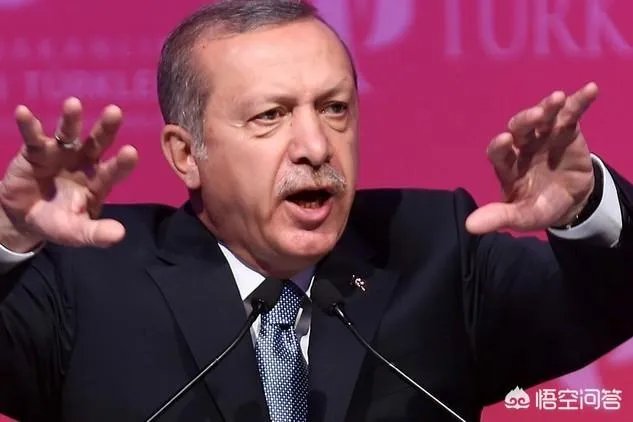 土耳其真的敢进军伊拉克吗?