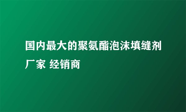 国内最大的聚氨酯泡沫填缝剂厂家 经销商