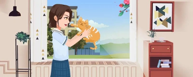 ​为什么猫咪能像液体一样