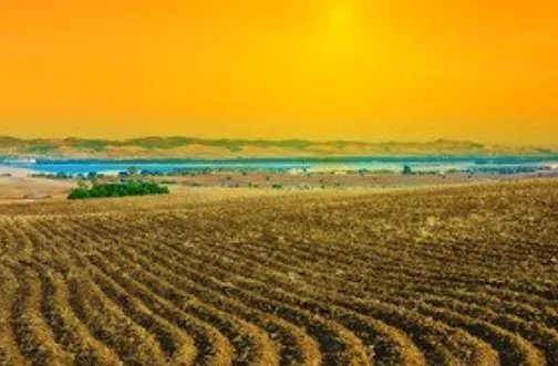 集体土地使用权可以买卖吗