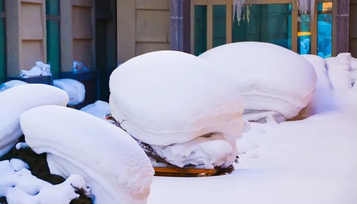 2021进九是什么时候开始 2021年冬季进九是哪一天