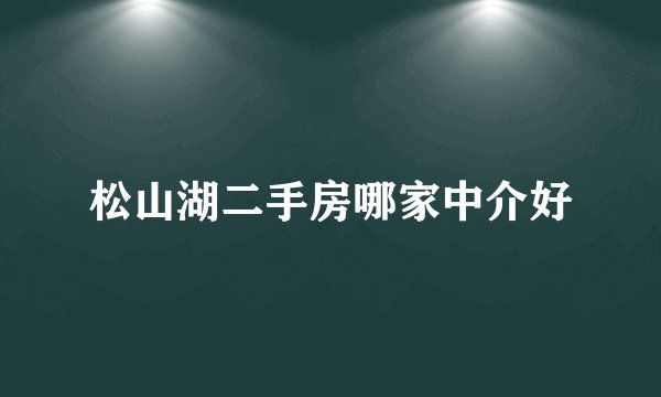 松山湖二手房哪家中介好