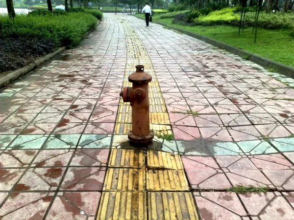 150米盲道为树让道改成十八弯，这样还有存在的意义吗