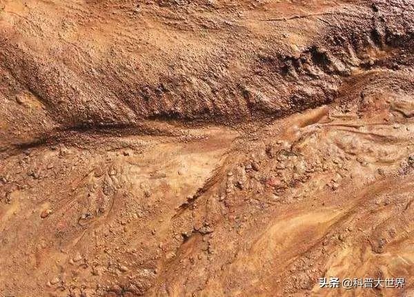 昆虫学家声称在火星上有重大发现，其理由是否充分？