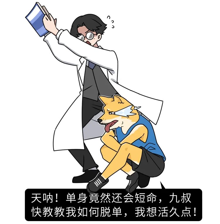 越来越多年轻人不愿意结婚，只可惜：单身久了，寿命更短