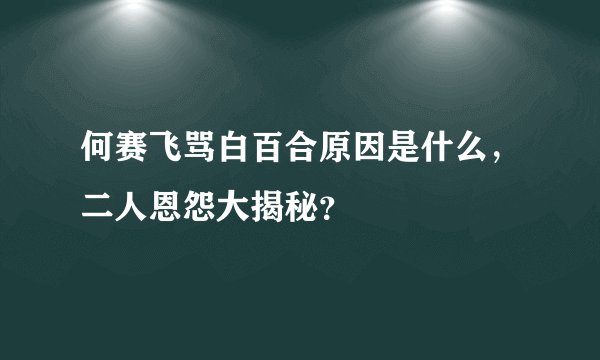 何赛飞骂白百合原因是什么，二人恩怨大揭秘？