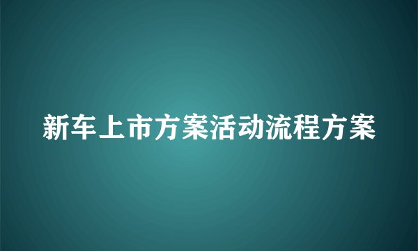 新车上市方案活动流程方案