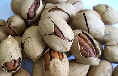 新疆特色干果有哪些?