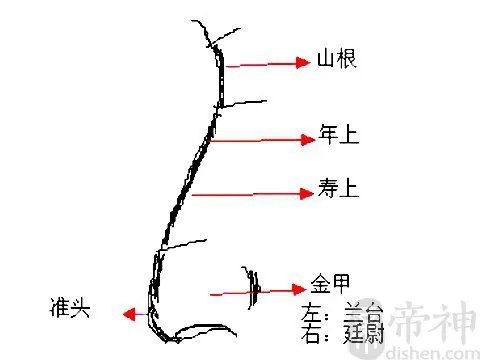 女人鼻子长痣面相图解，女人鼻子长痣好不好？