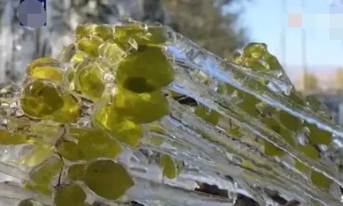 新疆出现罕见冰凌奇观了？