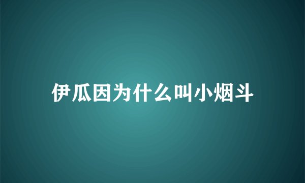 伊瓜因为什么叫小烟斗