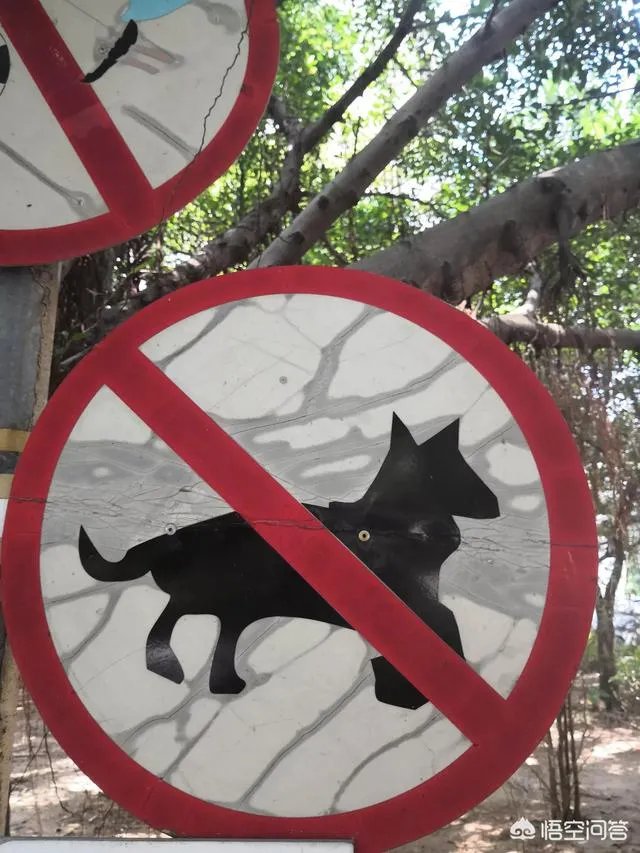 来宾市是我国房价最低的一个地级市，200平方只需30万，为何购买的人不多？