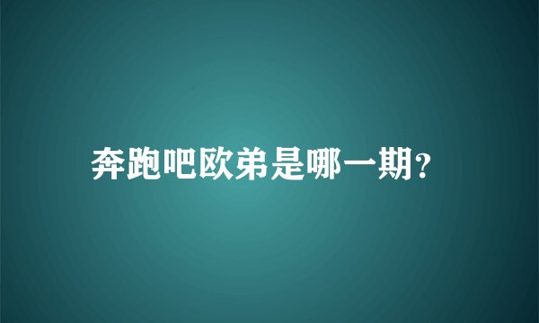 奔跑吧欧弟是哪一期？