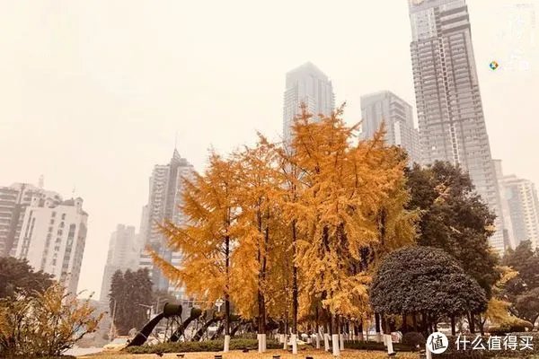 重庆旅行住宿指南:来自民宿老板的3条建议,帮你快速做出决定