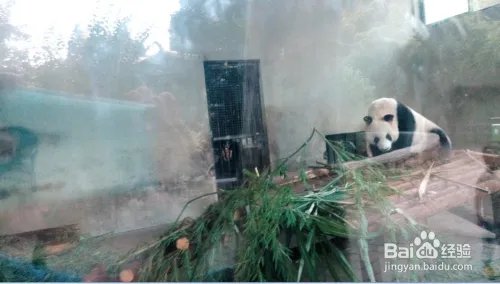 2014上海旅游节活动安排及旅游景点半价