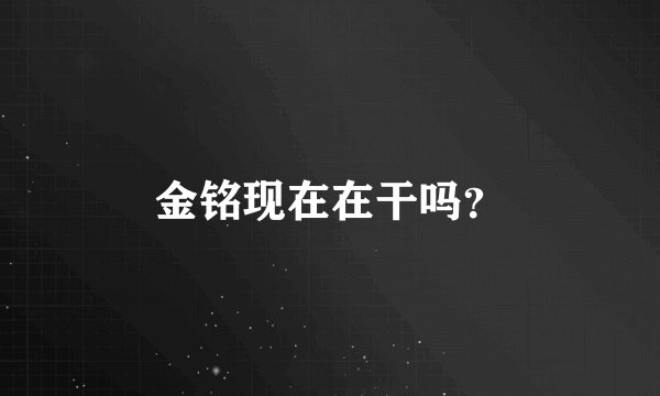 金铭现在在干吗？