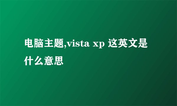 电脑主题,vista xp 这英文是什么意思