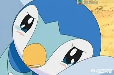 《神奇宝贝》中哪一部最好看？你更喜欢哪个女主？