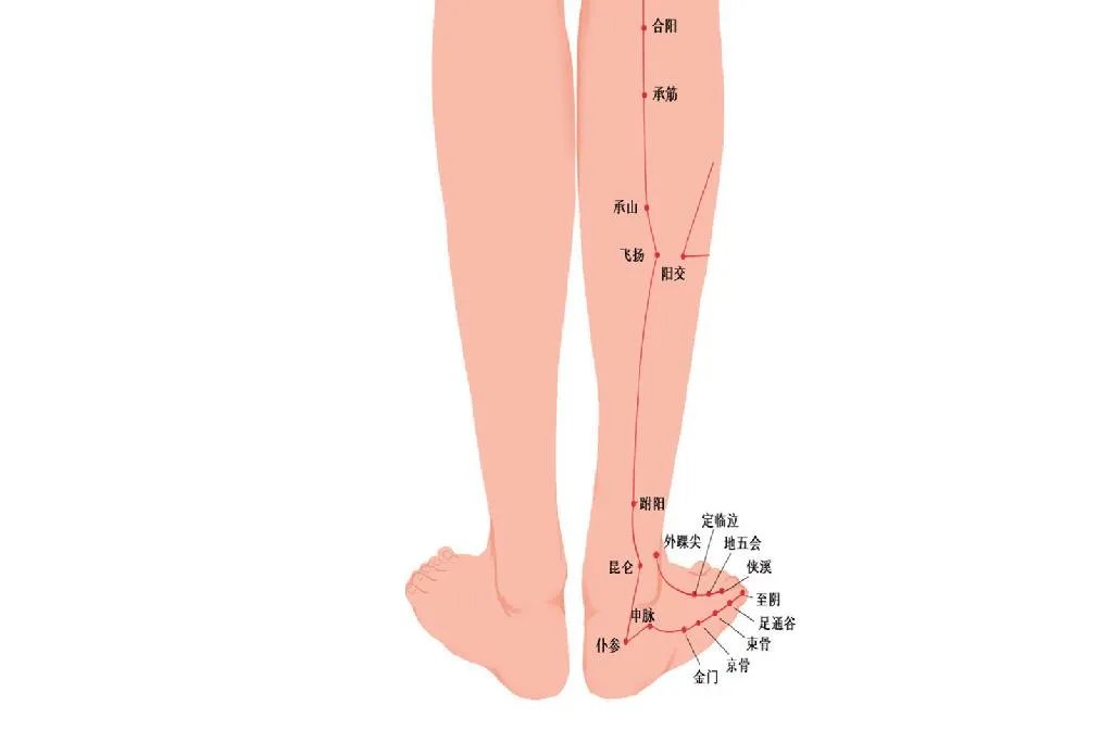 人体经络示意图