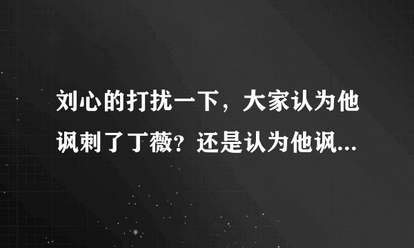 刘心的打扰一下，大家认为他讽刺了丁薇？还是认为他讽刺的好？