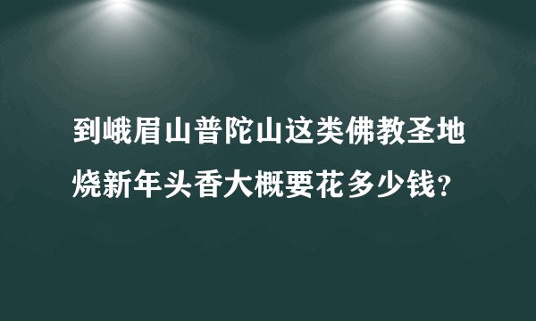 到峨眉山普陀山这类佛教圣地烧新年头香大概要花多少钱？